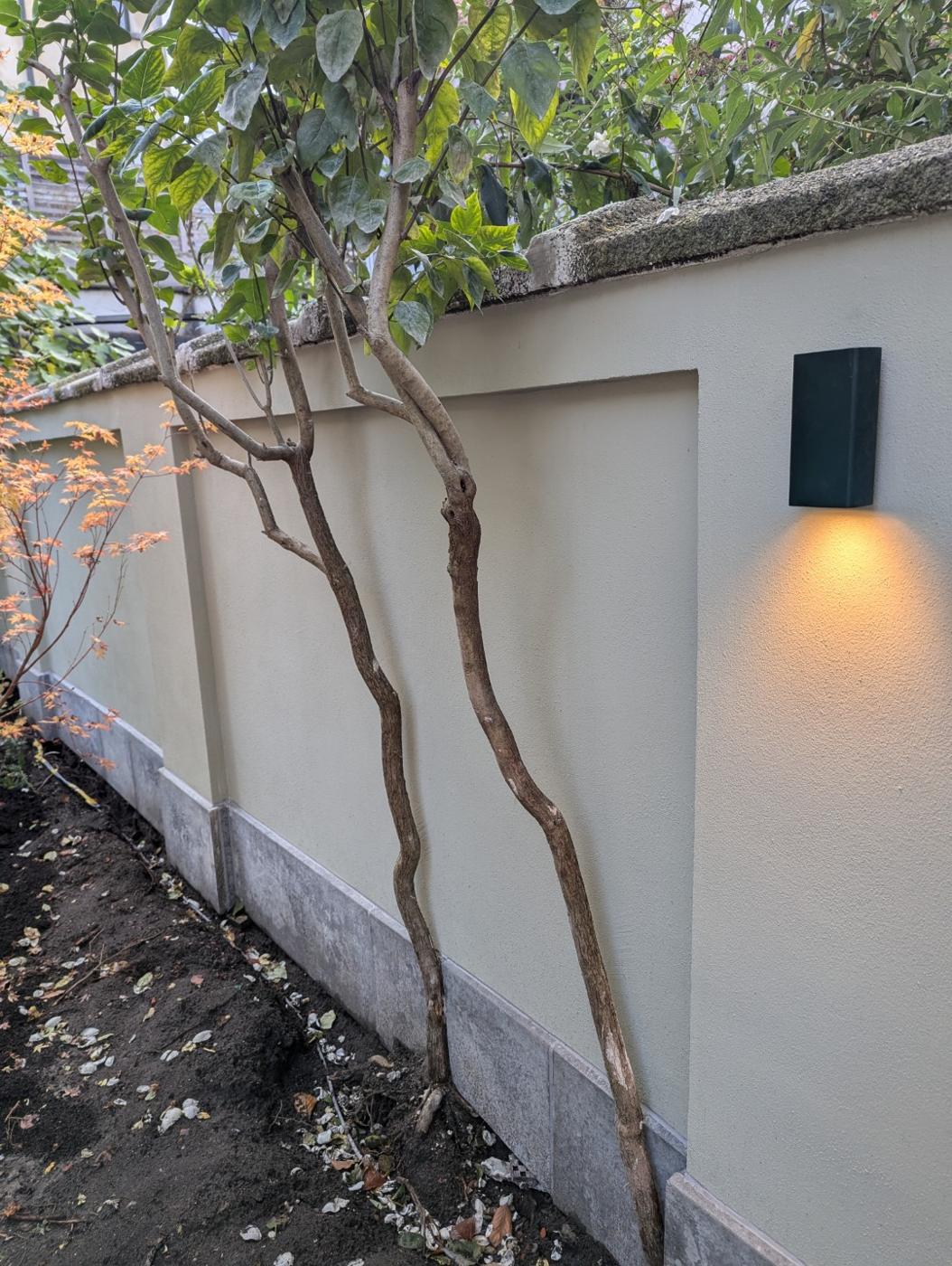 Gesponste cementering (tuinmuur): gesponste cementering op tuinmuur